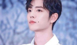 饭圈爆料肖战近况最新,饭圈爆料最新动态，神秘事件引关注