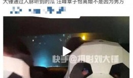 刘大锤明日爆料最新消息,明日大事件，揭秘幕后真相！