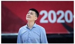 杨鸣回归最新爆料消息是真的吗,真相揭晓，重磅消息即将揭晓！