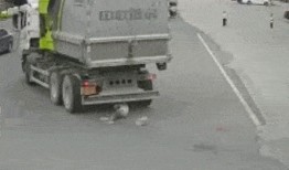 汕头车祸爆料事件最新,悲剧瞬间，真相待解