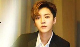 鹿晗最新爆料辟谣,揭秘最新爆料背后的真相