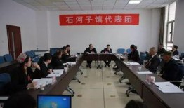 石河子爆料最新,揭秘城市变迁背后的故事