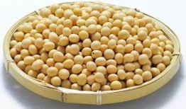 小黄豆事件的最新爆料,最新爆料揭露惊人内幕