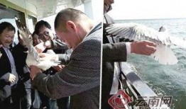 大理游客爆料最新消息,探寻古城新发现，揭秘网红打卡地背后的故事