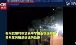 北京网友爆料最新