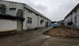 东莞狮岭最新爆料,揭秘背后惊人真相